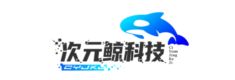 深圳次元鲸信息科技有限公司